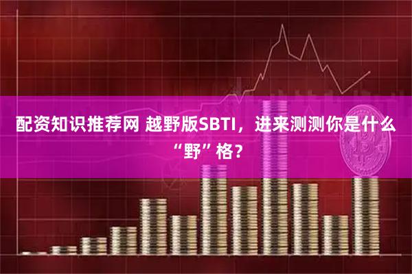 配资知识推荐网 越野版SBTI，进来测测你是什么“野”格？